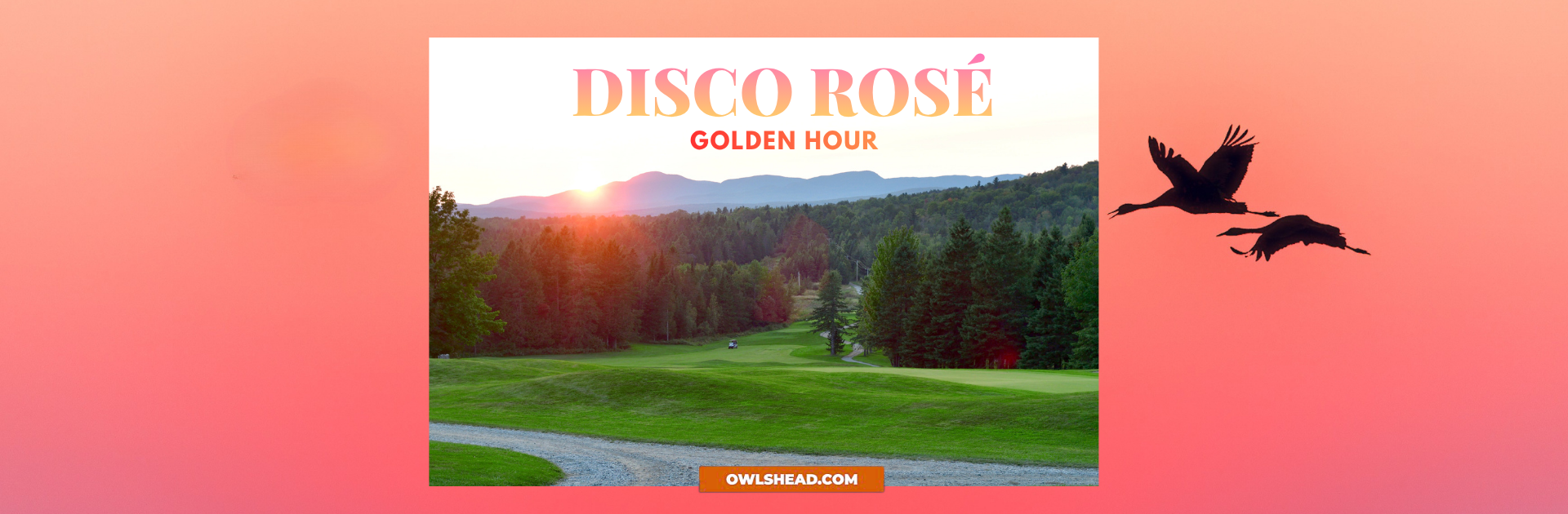 Soirée Disco Rosé